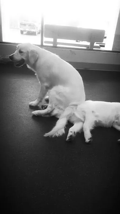 Hawthorne Animal Hospital Picture 5