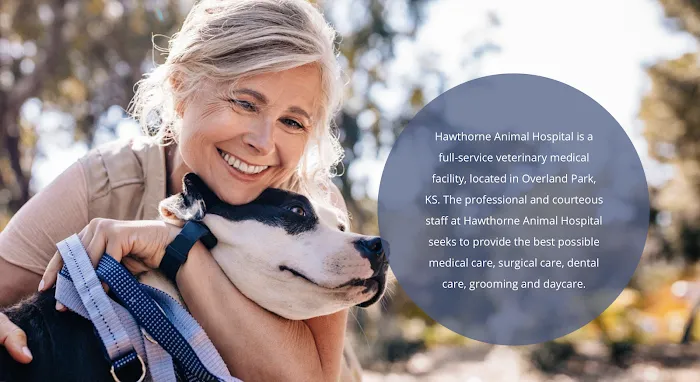 Hawthorne Animal Hospital Picture 6