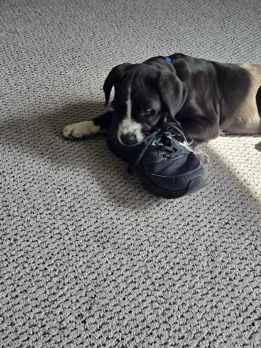 Mission Road Animal Clinic Picture 2