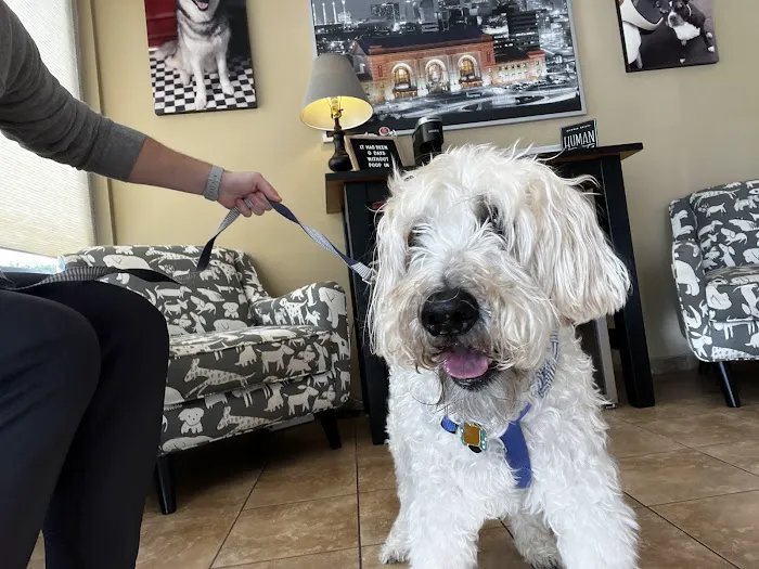 Mission Road Animal Clinic Picture 4