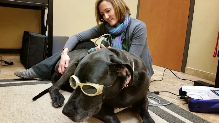 Mission Road Animal Clinic Picture 8