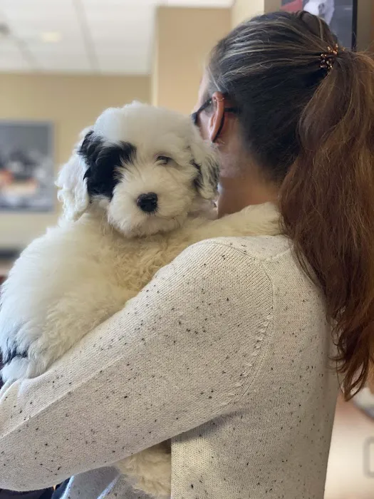 Mission Road Animal Clinic Picture 9