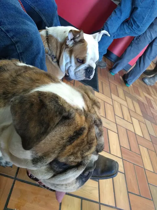 Animal Medical Center PC Picture 4