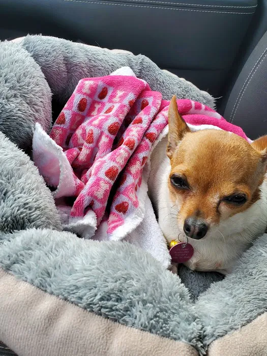 Animal Medical Center PC Picture 6