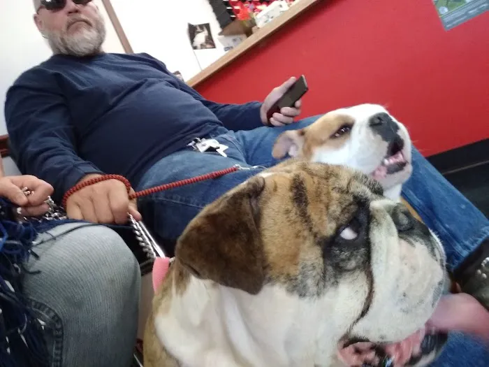 Animal Medical Center PC Picture 9