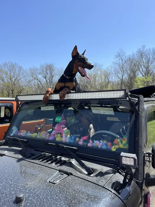 Blumhorst Veterinary Hospital Picture 4