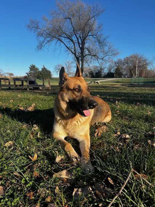 Blumhorst Veterinary Hospital Picture 3