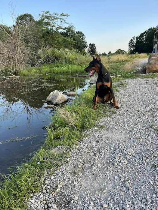 Blumhorst Veterinary Hospital Picture 5