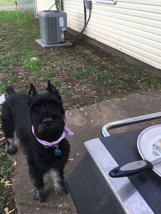 Blumhorst Veterinary Hospital Picture 6