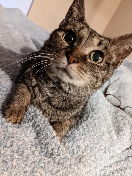 Blumhorst Veterinary Hospital Picture 8