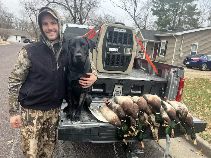 Blumhorst Veterinary Hospital Picture 9