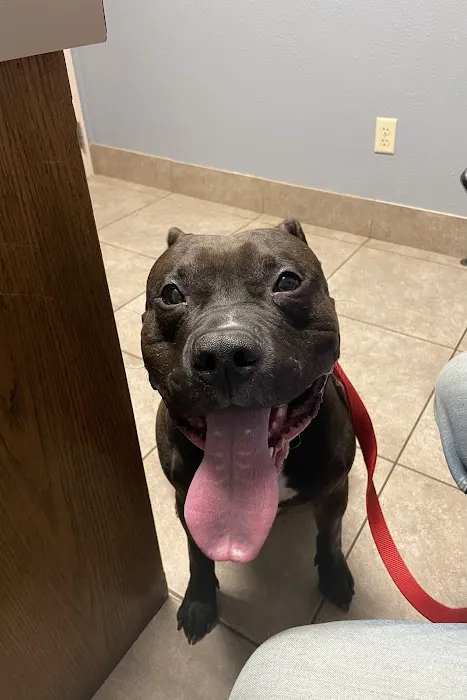 Koch-Stigge Veterinary Clinic Picture 2