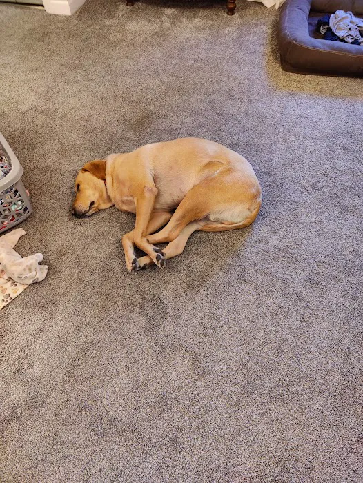 Koch-Stigge Veterinary Clinic Picture 1