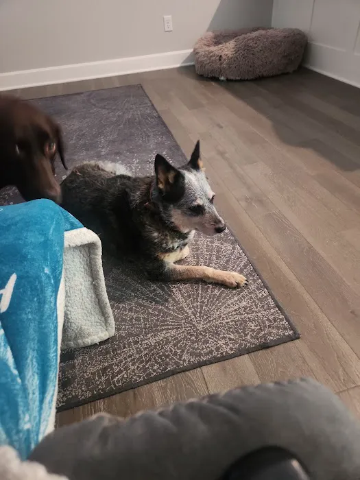 Koch-Stigge Veterinary Clinic Picture 3