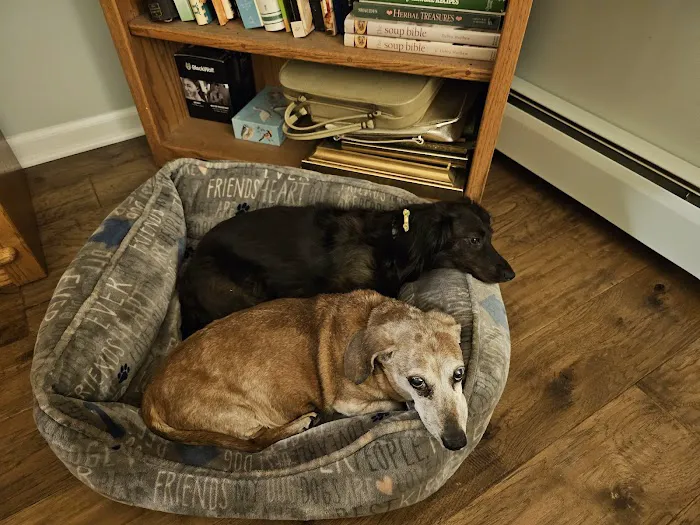 Koch-Stigge Veterinary Clinic Picture 5