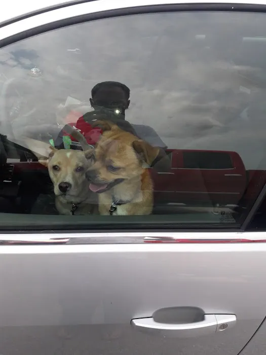 Koch-Stigge Veterinary Clinic Picture 7