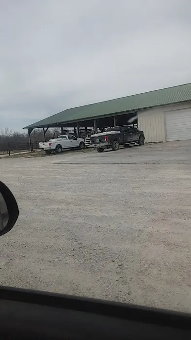 Koch-Stigge Veterinary Clinic Picture 4