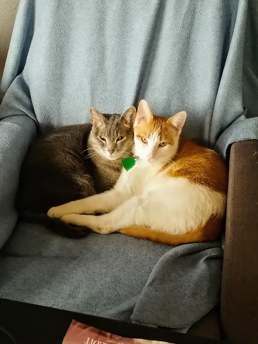 Koch-Stigge Veterinary Clinic Picture 8