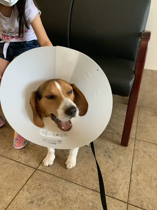 Koch-Stigge Veterinary Clinic Picture 10