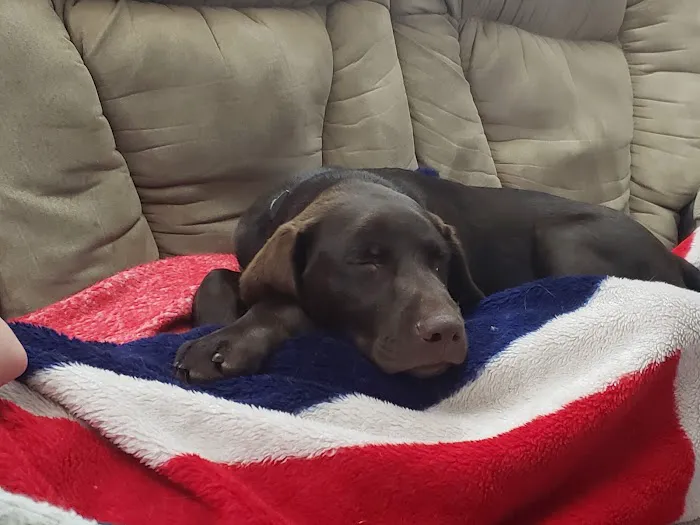 Koch-Stigge Veterinary Clinic Picture 9