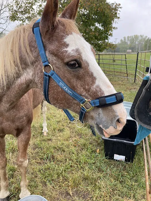 Wagner Horse Doc LLC Picture 1