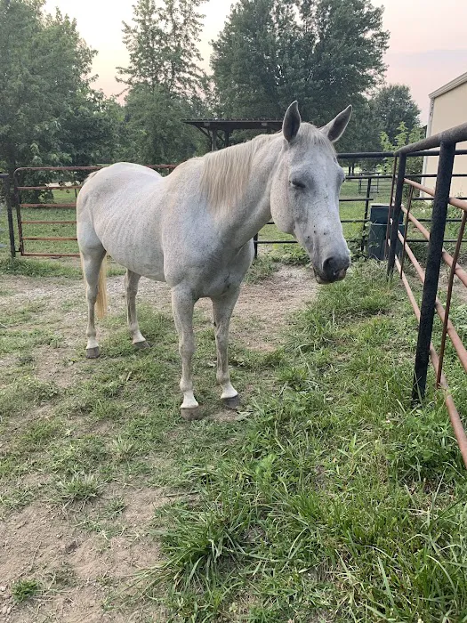 Wagner Horse Doc LLC Picture 3