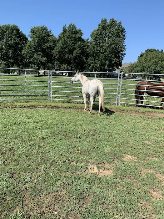 Wagner Horse Doc LLC Picture 5