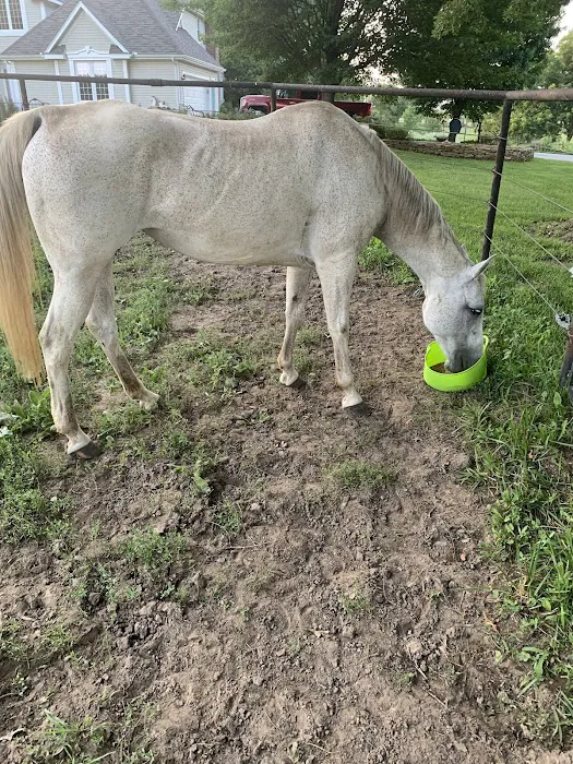 Wagner Horse Doc LLC Picture 4