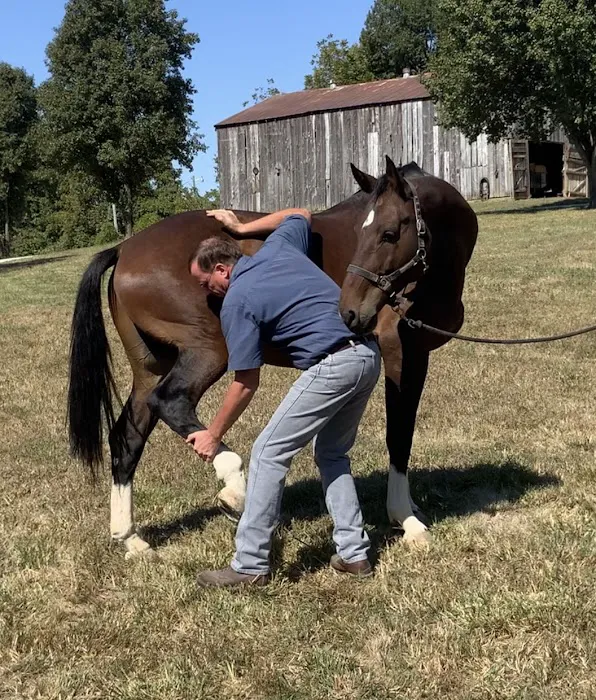 Wagner Horse Doc LLC Picture 7