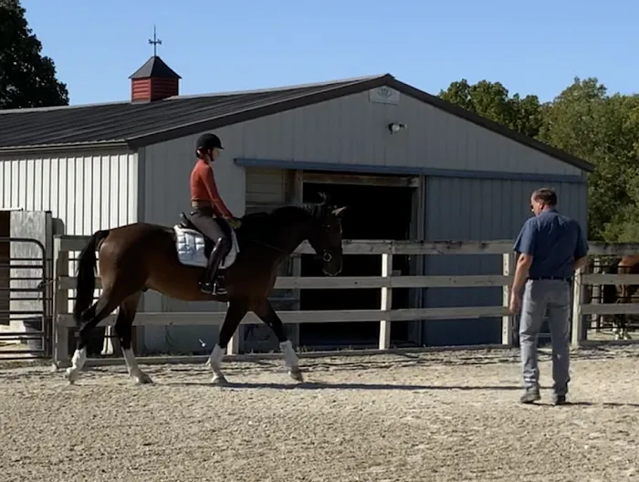 Wagner Horse Doc LLC Picture 10