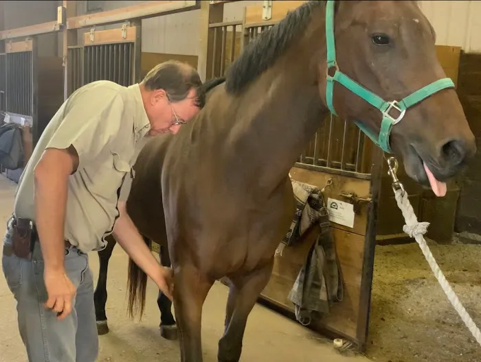 Wagner Horse Doc LLC Picture 9