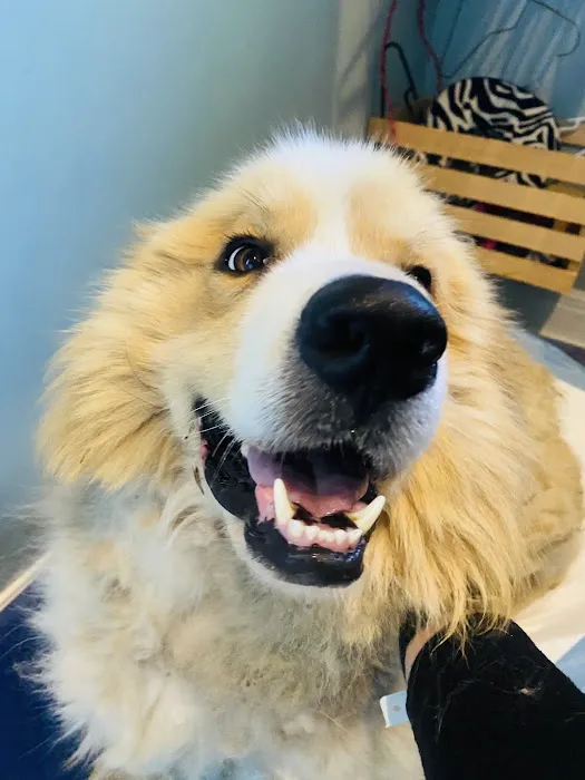 Drexel Veterinary Clinic Picture 2