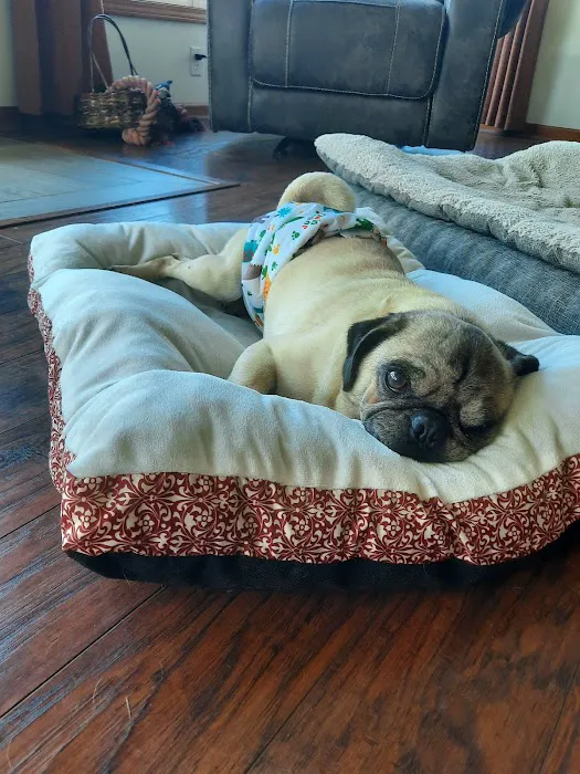 Drexel Veterinary Clinic Picture 5