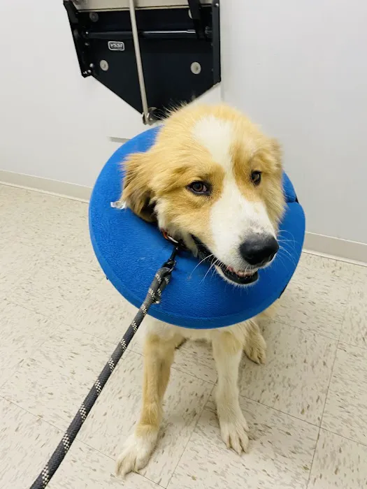 Drexel Veterinary Clinic Picture 1