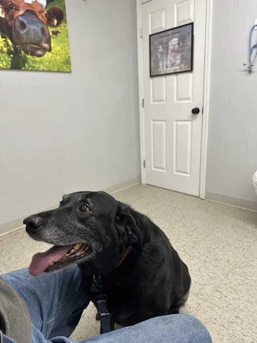 Drexel Veterinary Clinic Picture 4