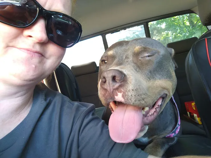 Drexel Veterinary Clinic Picture 6