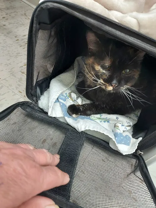 Drexel Veterinary Clinic Picture 8