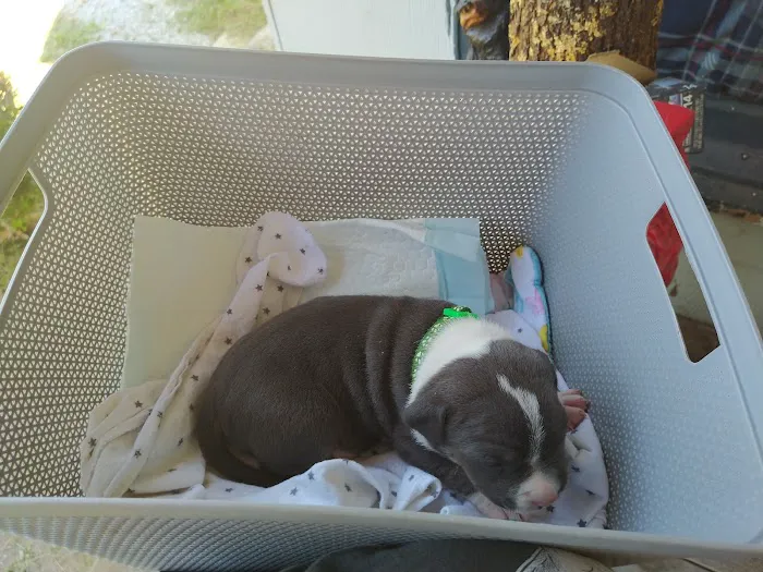 Drexel Veterinary Clinic Picture 7