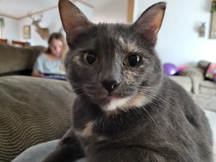 Drexel Veterinary Clinic Picture 9