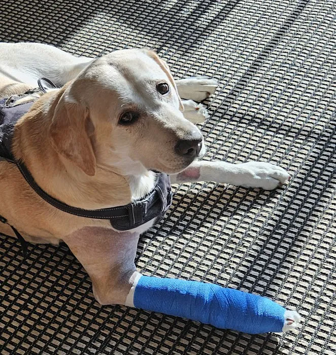 Spalding Animal Clinic Picture 1