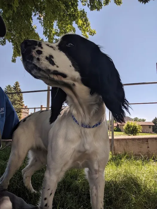 Spalding Animal Clinic Picture 4