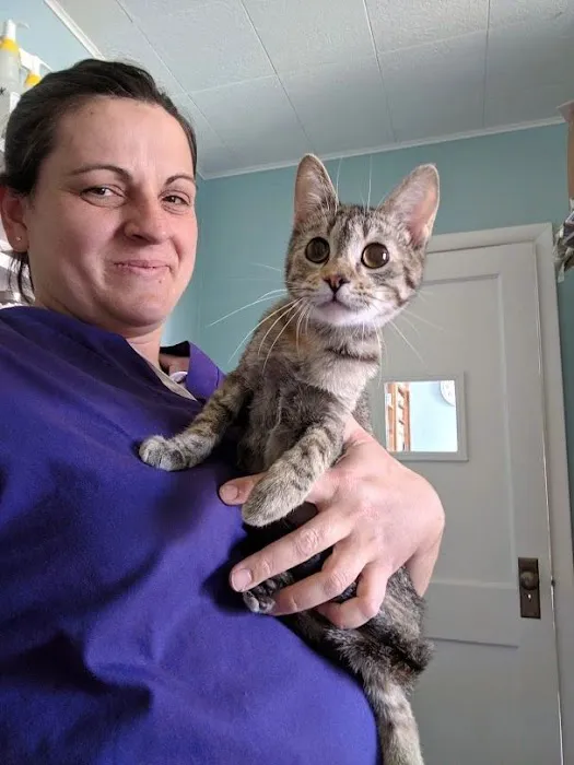 Spalding Animal Clinic Picture 5