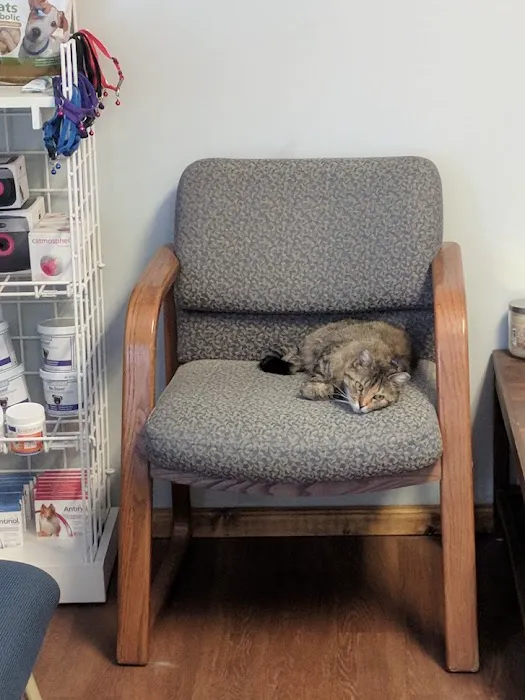 Spalding Animal Clinic Picture 9