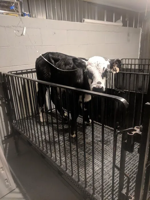 Spalding Animal Clinic Picture 6