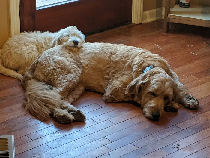 Nall Hills Animal Hospital Picture 2