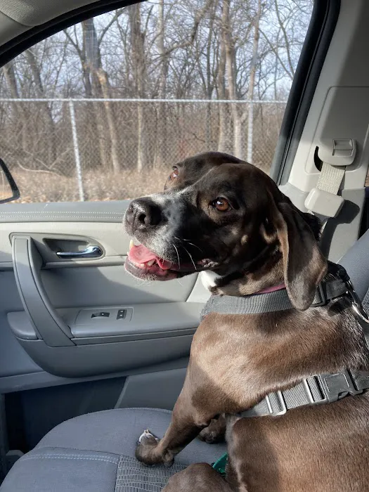 Nall Hills Animal Hospital Picture 3