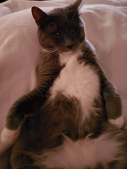 Metcalf 107 Animal Clinic Picture 1