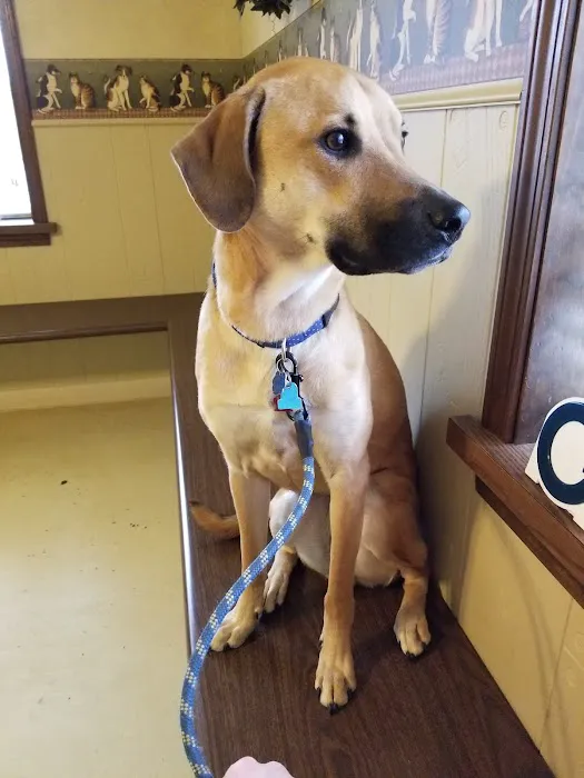 Metcalf 107 Animal Clinic Picture 4