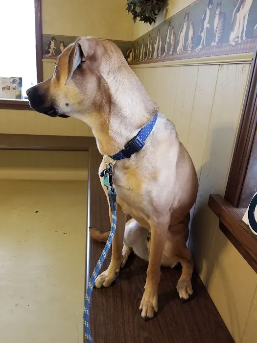 Metcalf 107 Animal Clinic Picture 2