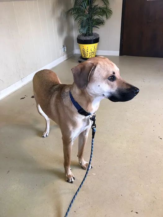 Metcalf 107 Animal Clinic Picture 5